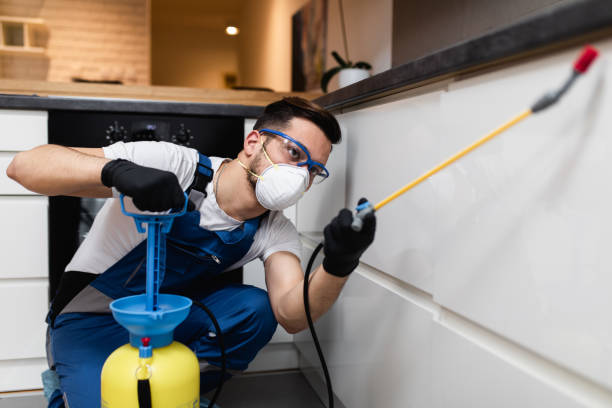 Best Cockroach Control Services  in Danielson, CT