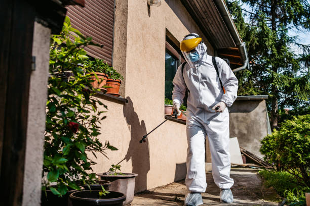 Pest Control Cost in Danielson, CT