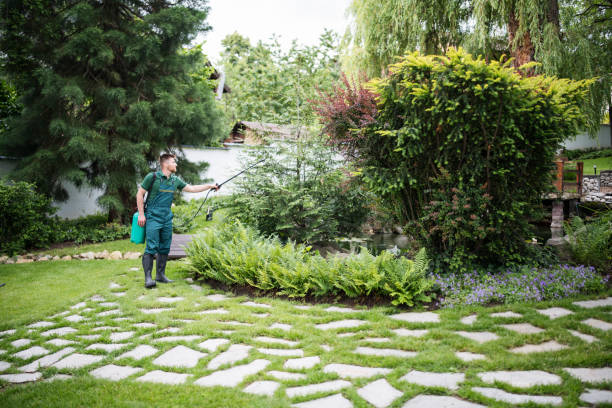 Best Pest Control Cost  in Danielson, CT