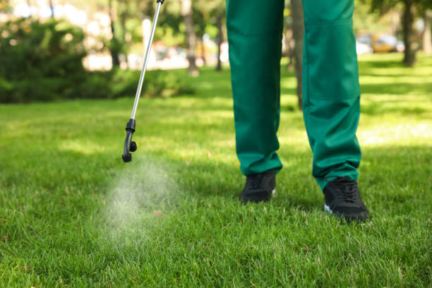 Best Affordable Pest Control Services  in Danielson, CT