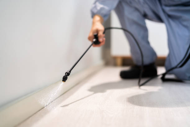 Best Pest Prevention Services  in Danielson, CT