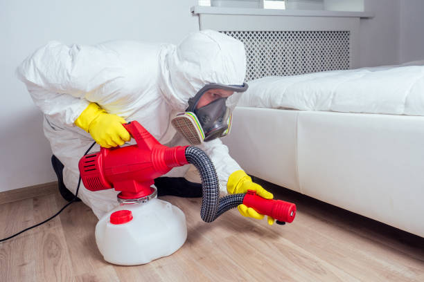 Best Commercial Pest Control Services  in Danielson, CT