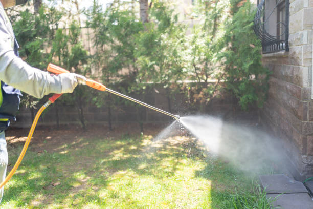 Best Pest Inspection Near Me  in Danielson, CT