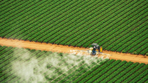 Best Commercial Pest Control Services  in Danielson, CT