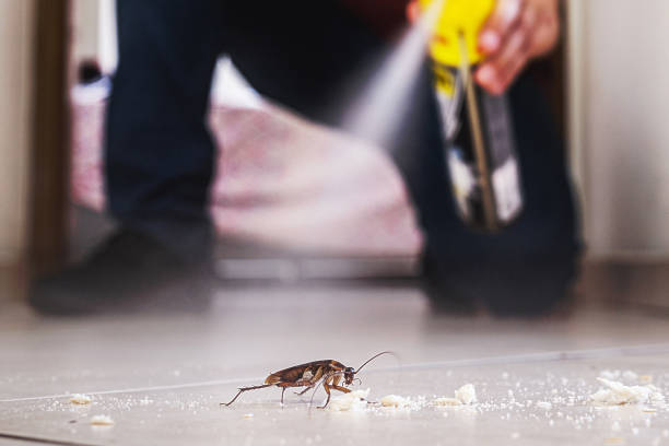 Best Pest Prevention Services  in Danielson, CT