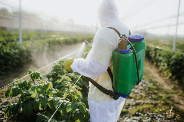 Best Flea Control Services  in Danielson, CT